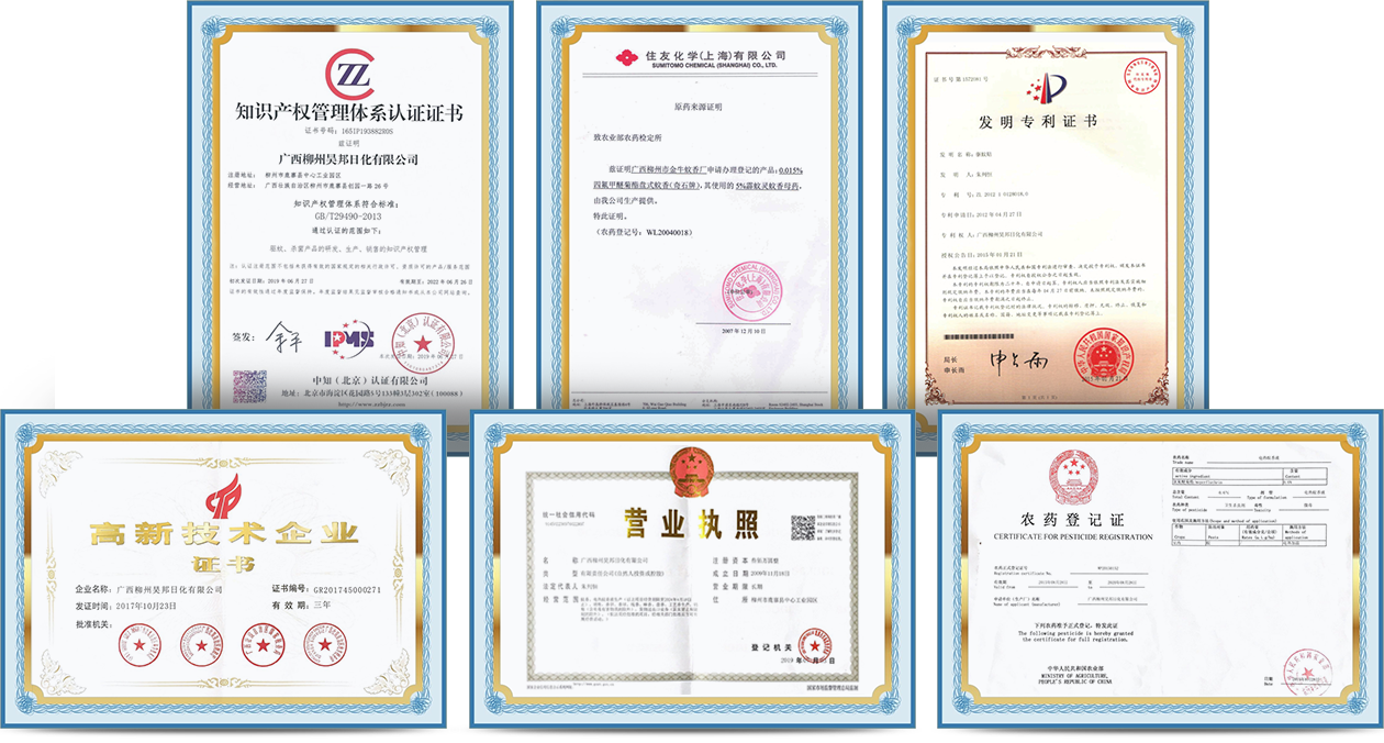 Company profile